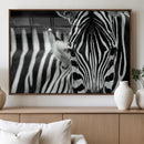 Zebra Wall Art – Zebra Close Up Wall Art – Framed Black by MyGreatCanvas | Canvas Wall Art Prints | Photo Prints & Wall Decor