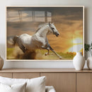 Large Wall Art Galloping White Horse at Sunset Canvas Print