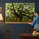 Angel Oak Tree Wall Art Canvas Print | Forest Tree Nature