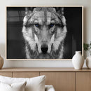 Black and White Wild Wolf Wall Art Canvas Print