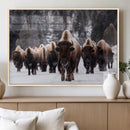Bison Wall Art Canvas Print- Bison Herd Canvas Wall Art –
