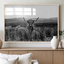 Black and White Highland Cow Canvas Wall Art, Longhorn by MyGreatCanvas | Canvas Wall Art Prints | Photo Prints & Wall Decor