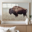 Bison in Field Wall Art Canvas Print For Farmhouse Barn