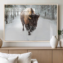 Bison Wall Art Canvas Print For Farmhouse, Animal Canvas
