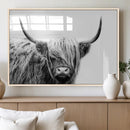 Black White Scottish Highland Cow Cattle Art Print Farmhouse