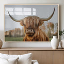 Highland Cow Animal Scottish Cattle Art Print Farmhouse Wall
