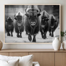 American Bison Art | Buffalo Herd Wall Art Canvas Print, BW