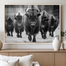 American Bison Art | Buffalo Herd Wall Art Canvas Print, BW