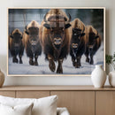 Buffalo Wall Art Canvas Print, American Bison Herd Wall Art by MyGreatCanvas | Canvas Wall Art Prints | Photo Prints & Wall Decor