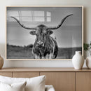 Texas Longhorn Cow Wall Art, Texas Longhorn Canvas, Cattle