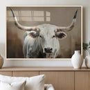 White Longhorn Bull Wall Art Canvas Print – Framed and Ready