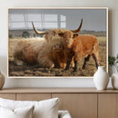 Highland Cow Canvas Wall Art Animal Print for Farm House