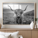 Black White Scottish Highland Cow Canvas Farm Wall Art