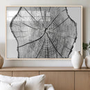Rustic Tree Ring Wall Art Canvas Print – Framed and Ready to