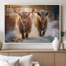 Scottish Highland Cow Horn Farm Wall Art Canvas Print