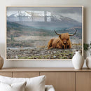 Highland Cow Horn Farm Wall Art Canvas Print