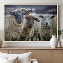Charming Sheep Portrait Wall Art – Trio of Woolly Companions by MyGreatCanvas | Canvas Wall Art Prints | Photo Prints & Wall Decor