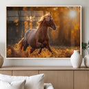 Running Horse Sunset Forest Wall Art Canvas Print