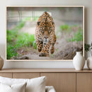 Leopard on the Prowl - Stunning Large Framed Leopard Wall