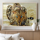 Blue-Eyed Leopard Canvas Wall Art - Framed Animal Print