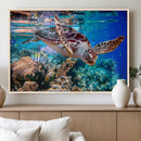 Underwater Coral Reef Sea Turtle Wall Art Canvas Print,