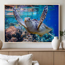 Underwater Sea Turtle Wall Art Canvas Print – Vibrant Ocean
