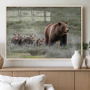 Wildlife Photography of 399 Grizzly Bear Cubs | Queen of the by MyGreatCanvas | Canvas Wall Art Prints | Photo Prints & Wall Decor