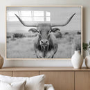 Highland Cow Wall Art Canvas Print – Black and White Western