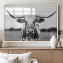Highland Cow Wall Art Canvas Print – Black and White Western