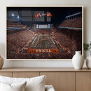 Texas Stadium Night Game Wall Art Canvas Print – Vibrant