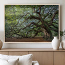 Historic Tree Wall Art – Framed Mossy Branch Canvas Artwork, by MyGreatCanvas | Canvas Wall Art Prints | Photo Prints & Wall Decor
