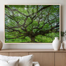 Ancient Tree Wall Art Canvas Print, Framed Sprawling by MyGreatCanvas | Canvas Wall Art Prints | Photo Prints & Wall Decor