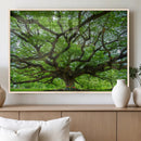Oak Tree Wall Art Print, Forest Canvas Wall Art for Home and by MyGreatCanvas | Canvas Wall Art Prints | Photo Prints & Wall Decor