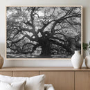 Ancient Oak Wall Art Canvas Print – Gnarled Tree Twisted