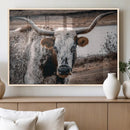 Texas Longhorn Wall Art Canvas Print – Framed Spotted Bull