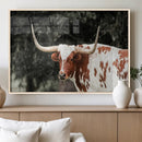 Texas Longhorn Wall Art Canvas Print – Framed Spotted Bull