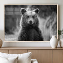 Grizzly Bear Wall Art Canvas Print – Framed Black White