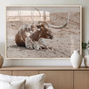 Texas Longhorn Wall Art Canvas Print – Framed Resting Bull by MyGreatCanvas | Canvas Wall Art Prints | Photo Prints & Wall Decor
