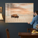 MyCanvas -
