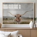 Texas Longhorn Wall Art Canvas Print – Framed Western Cow