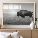 Bison Wall Art Canvas Print – Framed Rustic Wildlife Scene by MyGreatCanvas | Canvas Wall Art Prints | Photo Prints & Wall Decor