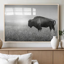 Bison in Prairie Wall Art Canvas Print – Framed Rustic by MyGreatCanvas | Canvas Wall Art Prints | Photo Prints & Wall Decor