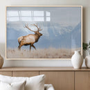 Elk Wall Art Canvas Print – Framed Mountain Wildlife Art by MyGreatCanvas | Canvas Wall Art Prints | Photo Prints & Wall Decor