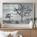 Joshua Tree Wall Art Canvas Print – Framed Black White