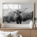 Longhorn Photography Wall Art Canvas Print – Framed Western by MyGreatCanvas | Canvas Wall Art Prints | Photo Prints & Wall Decor