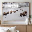 Bison Herd Wall Art Canvas Print – Framed Western Wildlife by MyGreatCanvas | Canvas Wall Art Prints | Photo Prints & Wall Decor