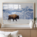 Bison Snow Wall Art Canvas Print – Framed Wildlife Scene by MyGreatCanvas | Canvas Wall Art Prints | Photo Prints & Wall Decor