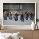 Bison Herd Wall Art Canvas Print, Framed Rustic Wildlife by MyGreatCanvas | Canvas Wall Art Prints | Photo Prints & Wall Decor