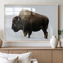 Bison Wall Art Canvas Print – Framed Western Wildlife