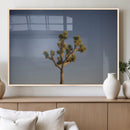 Joshua Tree Wall Art Canvas Print – Framed Southwestern by MyGreatCanvas | Canvas Wall Art Prints | Photo Prints & Wall Decor